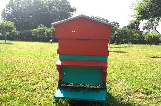 ruche - abeilles - miel factory