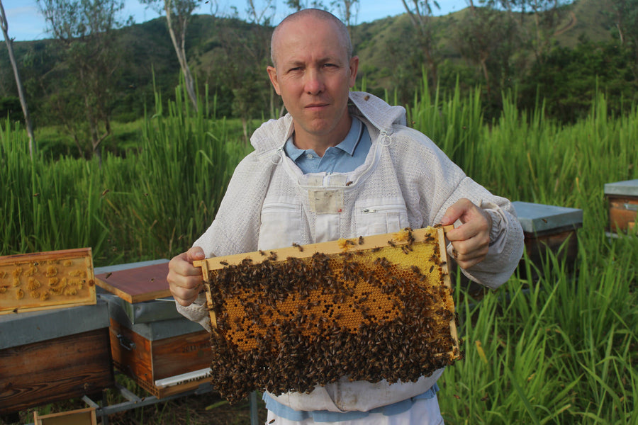 arnaud maillochon - apiculteur nouvelle Calédonie